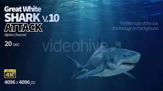 Shark 10 Attack | Motion Graphics - Videohive template