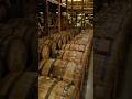 Maker's Mark Cellar area which is a much cooler cave compared to the rickhouses. Cellar aged is here