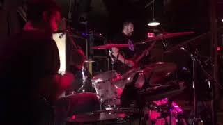 Tiny Tree Live