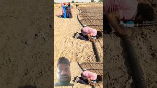 कम खर्च में Sprinkler Irrigation System 😱💧 | किसान का देसी जुगाड़#farming#shorts #agriculture