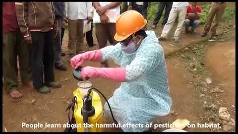 Tin tức: Nâng cao nhận thức về thuốc Bảo vệ thực vật/ News: Raising awareness about pesticides
