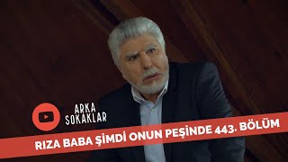 Rıza Baba Şimdi Onun Peşinde 443. Bölüm