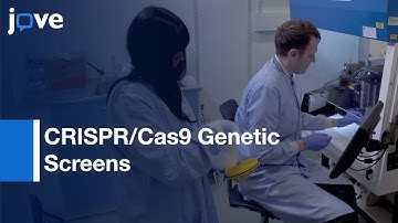 CRISPR/Cas9 Genetic Screens for Cell Surface Receptor Identification | Protocol Preview