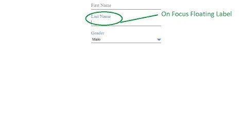 Pure CSS Floating Form Label [Input, Textbox, Dropdown]
