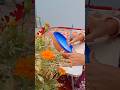 Shora Painting 🎨🖌️ || #art #craft #painting #trending #shorts