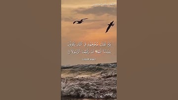 سورة الاحزاب من  آية 64 إلى آية 68 بصوت الشيخ ياسر الدوسري♥♥
