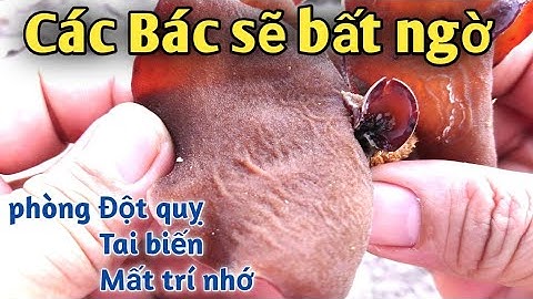 Món ăn phòng đột quỵ, ngừa tai biến, chống mất trí nhớ. PHAN HẢI Channel