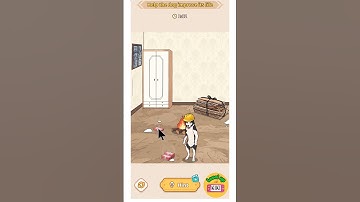 Brain Puzzle Tricky Quest | Level 22 Drift Scavenge - Help the dog improve its life|  #braingames