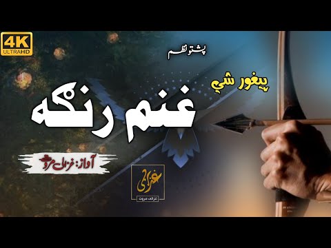             غزالی مروت پشتو غزل  