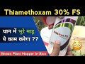 धान में Thiamethoxam 30% FS से BPH नियंत्रण 🪲