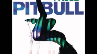 Pitbull - Pause Wealth