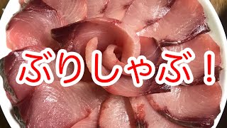 初めて釣ったブリでブリシャブを作ったよ!