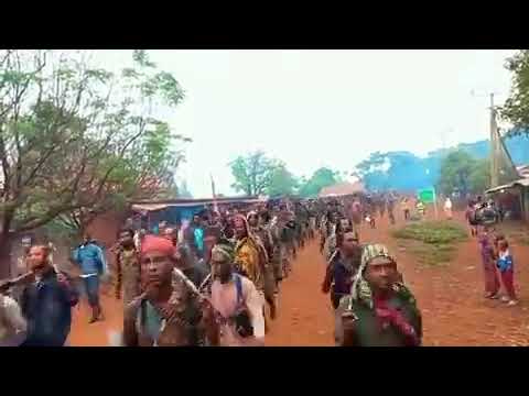 Injjifannoo Siniif Hata U Jajjabe Haqaa Dhiira Ko