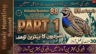 Information Batir Ki Behtreen Awaz Aik BarLazmi Suny|Volume 88Part-1| 30 Mint #foryou #viral #quail #quailsound  News