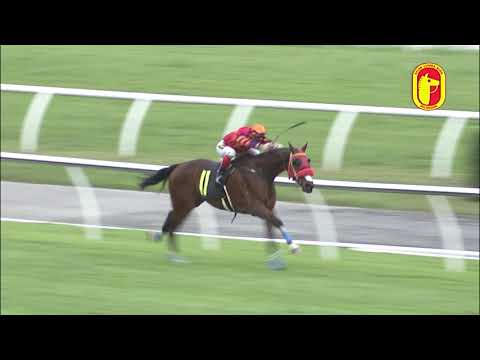 07-dec-2019-race-10