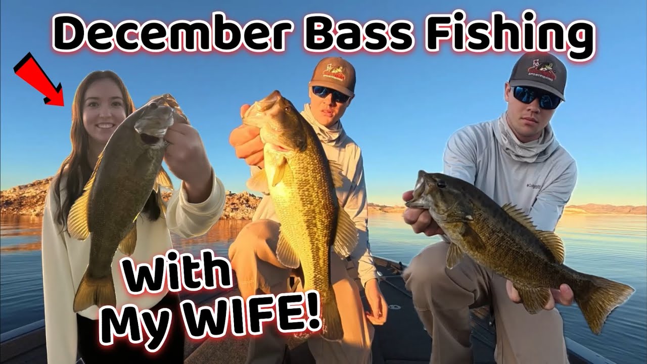December Bass Fishing is TOUGH… Until You Figure THIS Out! (Secrets Revealed)