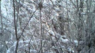 SUNP0128