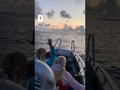 что ты выберешь #Shorts