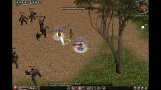 Metin2 US - Hacker - BrutalAngel 0001