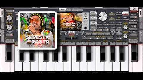 Kit Seresta do rasta pra org 2025 feito no sx600