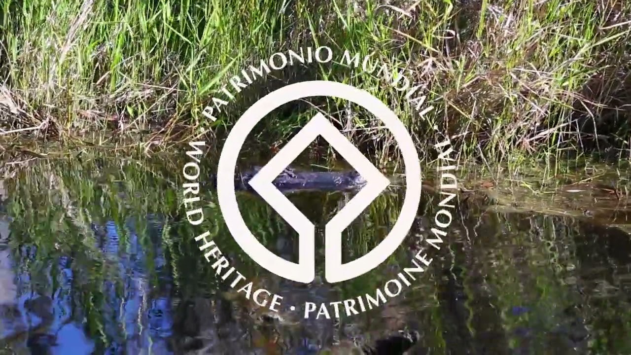 Eco tourism