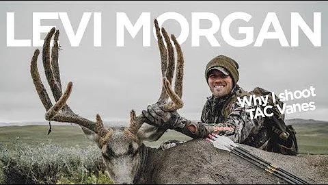 Levi Morgan - "Why I use TAC Vanes"