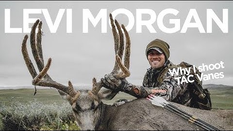 Levi Morgan - "Why I use TAC Vanes"