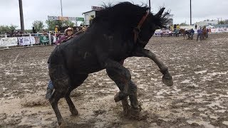 One Close Wild Horse Race - 2019 Miles City Bucking Horse Sale - 3rd Race One Close Wild Horse Race - 2019 Miles City Bucking Horse Sale - 3rd Race