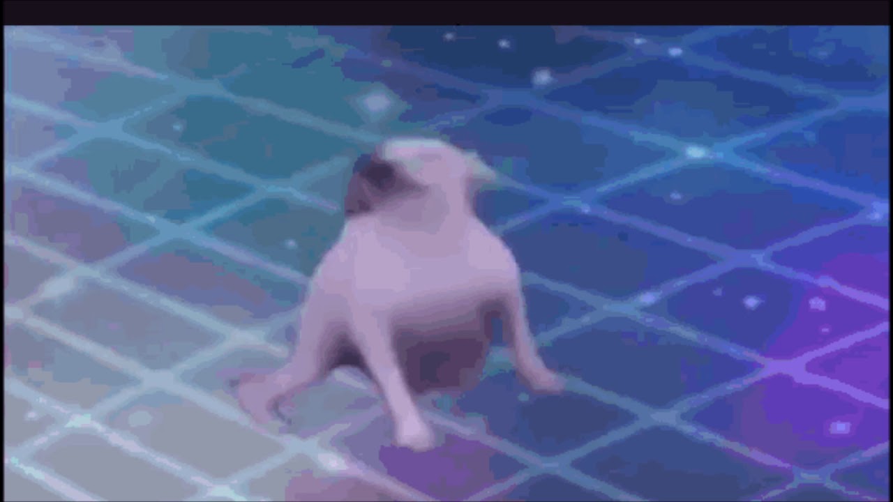 Dancing Ewok Gif