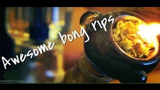 BONG RIPS COMPILATION