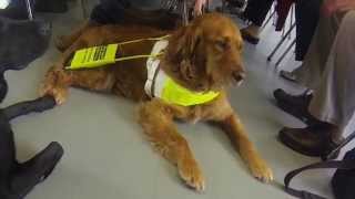 Guide Dogs National Breeding Centre