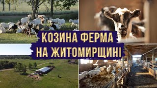 ВІДКРИВАЙ УКРАЇНУ: козина ферма на Житомирщині | ХаризмаUA
