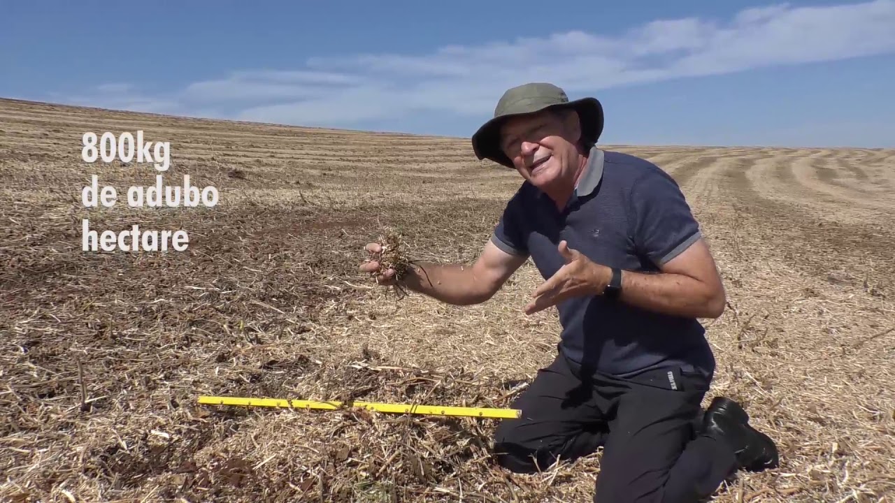 Desafios da Soja -  Colhedora tem função fundamental na distribuição correta da palha sobre o solo