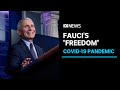 Dr Anthony Fauci describes working with the Biden administration as "somewhat liberating" | ABC News