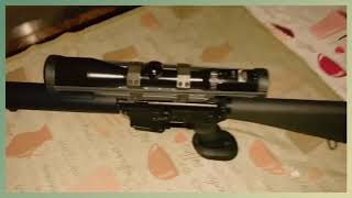 Colt Accurized 223 Rem