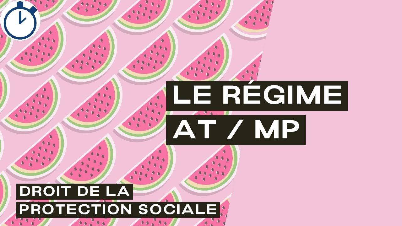 Le régime accident du travail et maladie professionnelle : [Droit de la Protection Sociale]