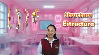 screenshot of the youtube video