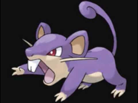 Pokemon Facts #35 - Lonely Rattata