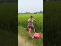 Digital Sapuria Short Funny Video Busi Fun Ltd 