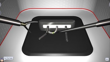 LapSim Ligating Loop