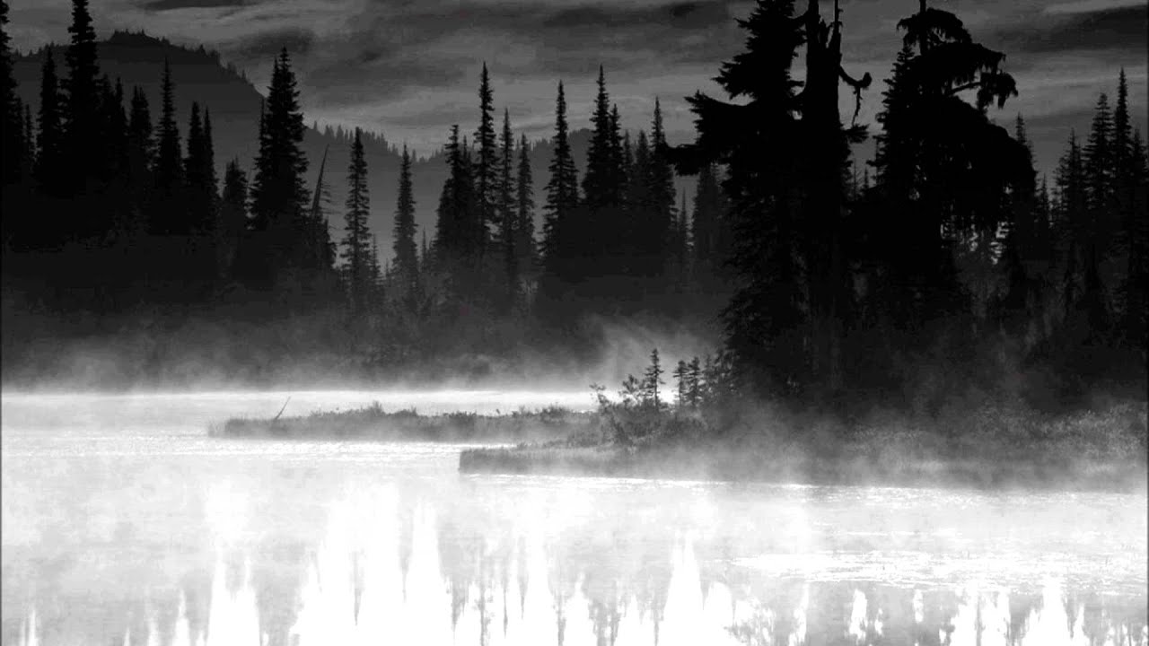 Watch Skogen - Dimfärd on YouTube Watch Skogen - Dimfärd on YouTube