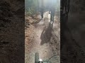 велопрогулка по лесу