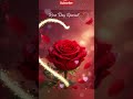 Happy Rose Day 🌹#roseday #rose #valentinesday #shorts
