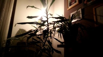 Domotics System with Raspberry and OpenHab