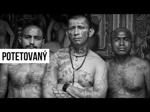 POTETOVANÝ - POTETOVANÝ