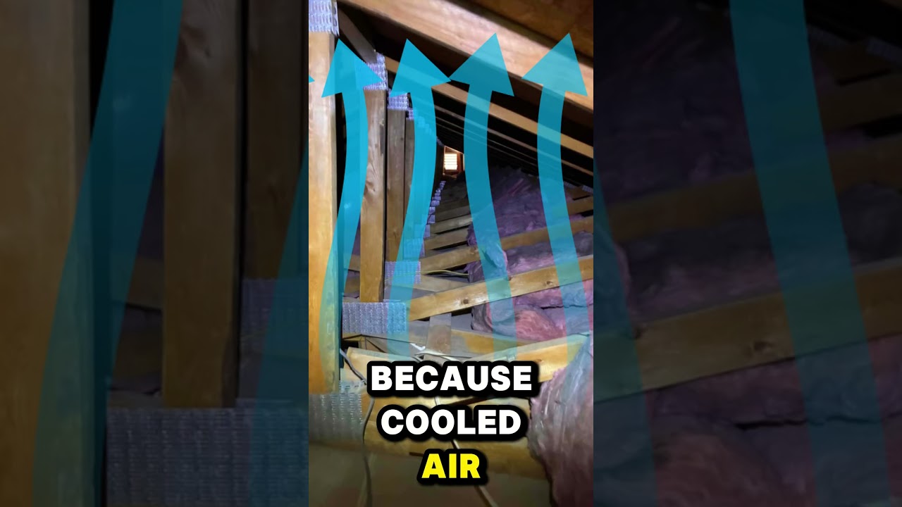YouTube Short