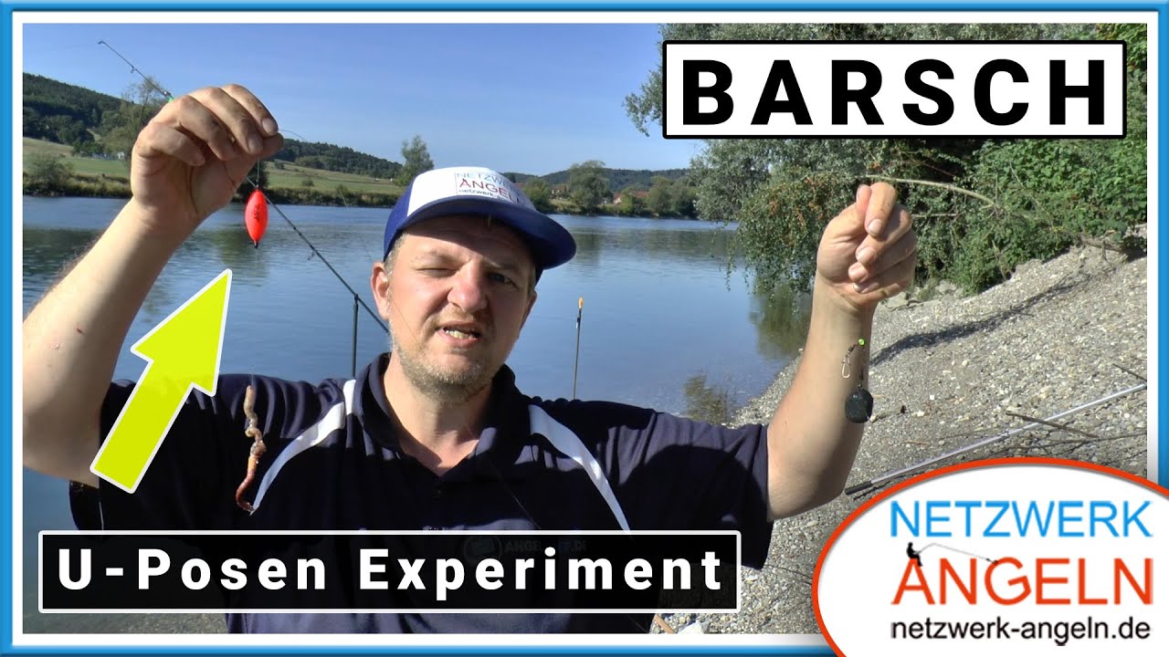 Barsche mit U-Pose und Tauwurm? - Ich probiere es aus!
