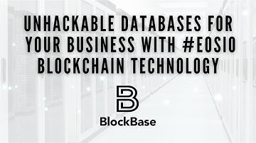Blockchain Technology Can Save your Business Millions:  Ricardo Schiller from Blockbase.Network