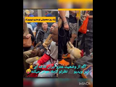 عجیب ترین صحنه هایی که در مترو نیویورک ضبط شده  