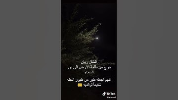(كل نفس ذائقة الموت ثم الينا ترجعون)من سورة العنكبوت قران كريم